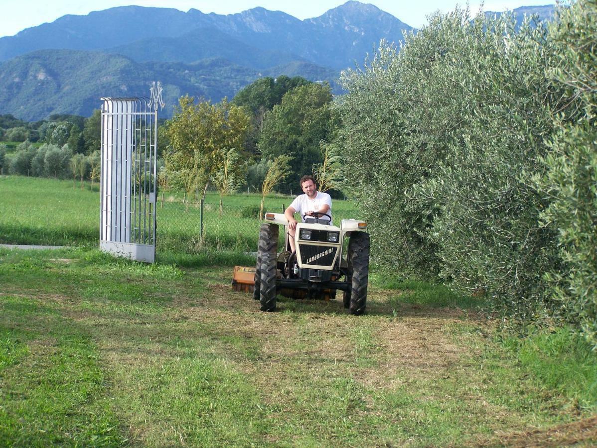 Agriturismo Fioralba Polpenazze del Garda Exterior foto